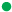 green circle