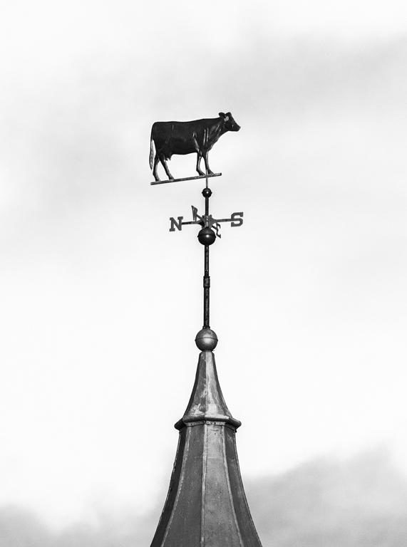 The Haymaker Bar Weather Vane