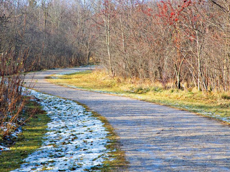 A Winter Walk