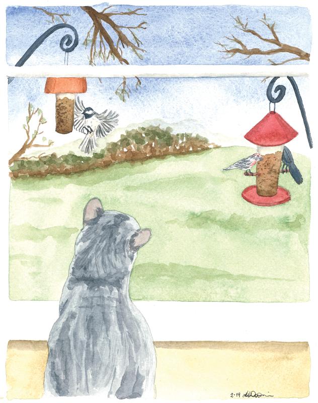 Birds at My Window Ann Arbor Observer