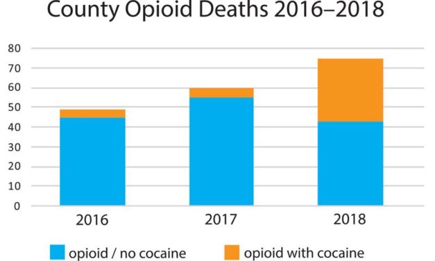 Deadly Epidemic