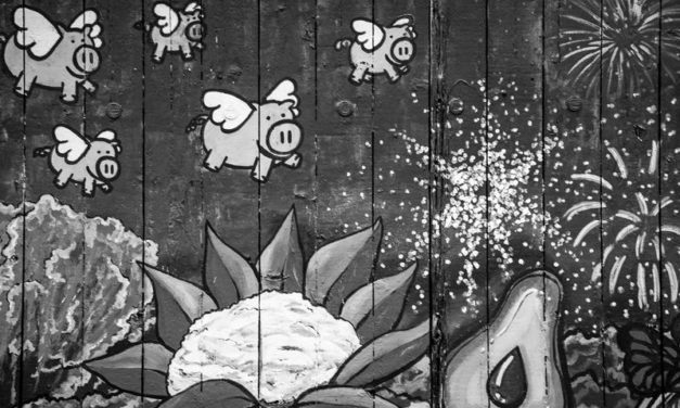 Flying Pigs