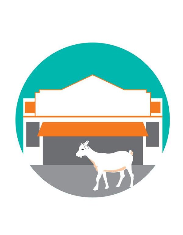 Lumber and Livestock