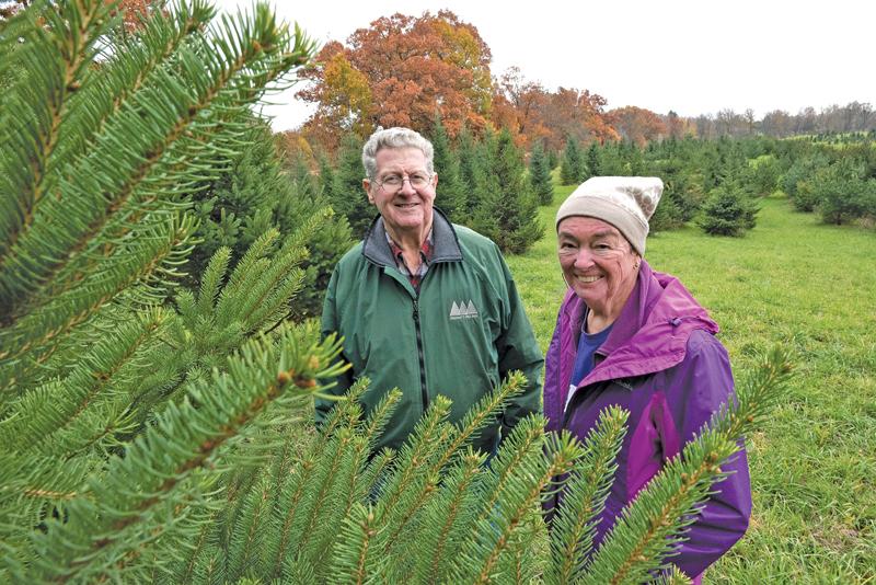 Growing Christmas - Ann Arbor Observer