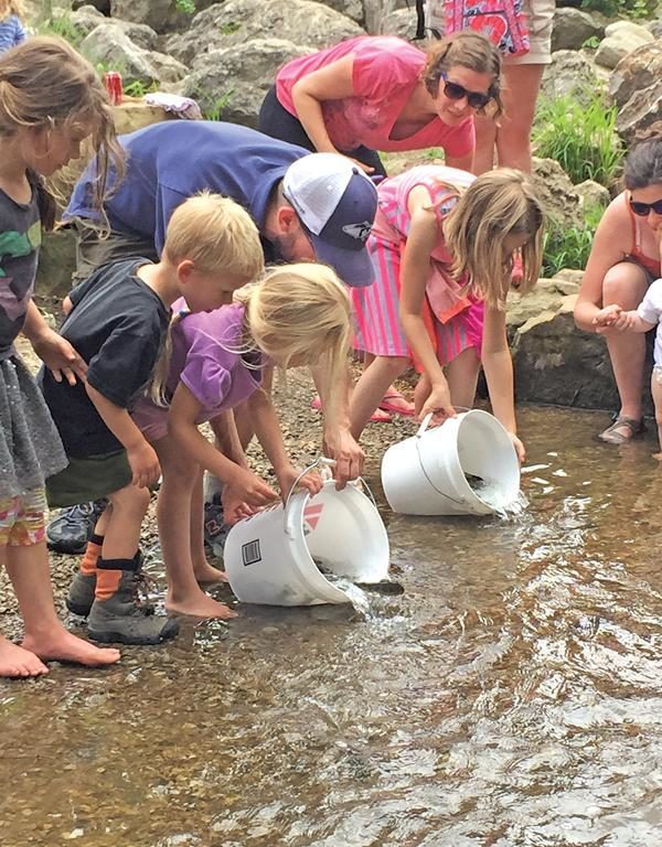 Building a Trout Stream