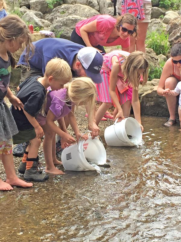 Building a Trout Stream Ann Arbor Observer