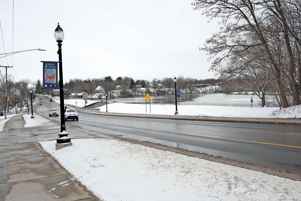 A Walk by the Mill Pond Ann Arbor Observer