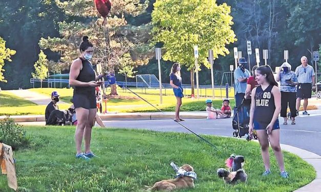 Puppy Promenade