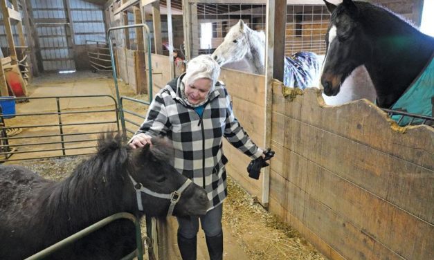 Helping Horses