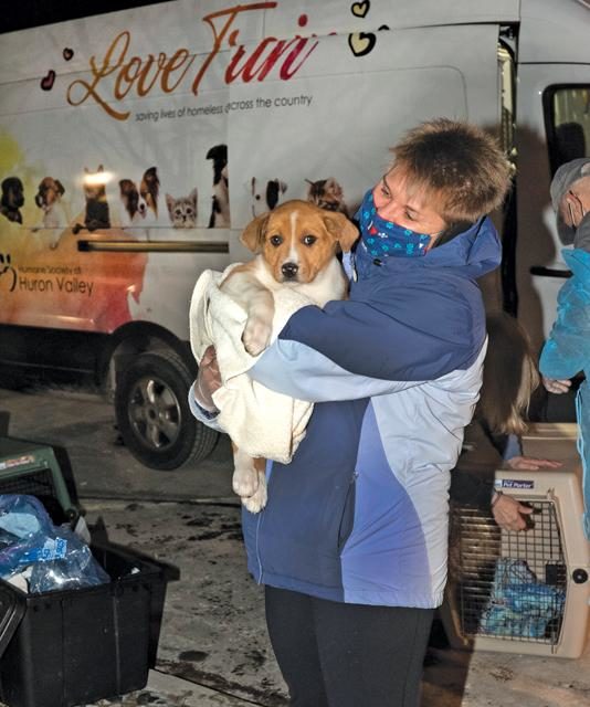 How the Humane Society Coped with Covid