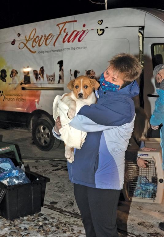 How the Humane Society Coped with Covid