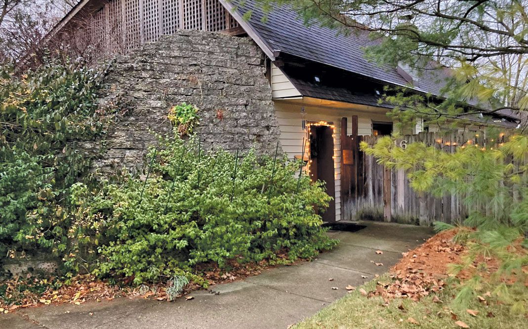 Berm House Ann Arbor Observer