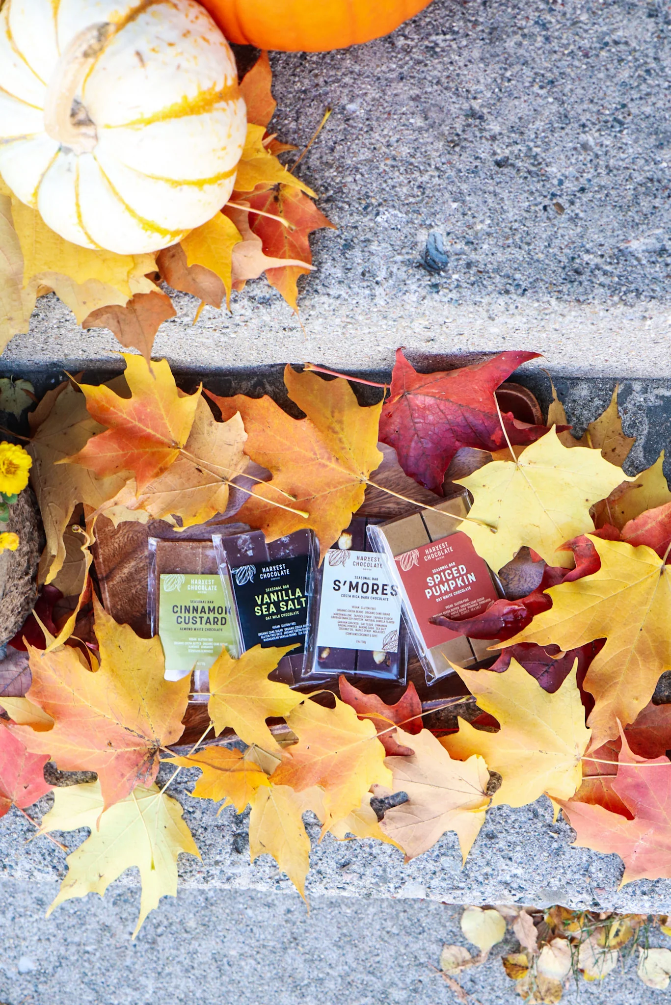 Holiday Chocolate Tasting + Tour at The Vault Ann Arbor Observer