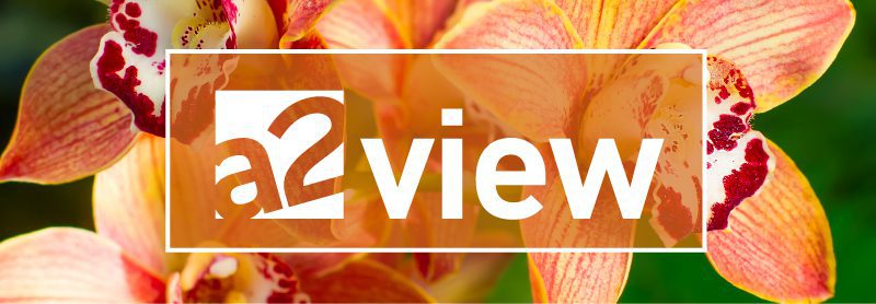 a2view November 16, 2023