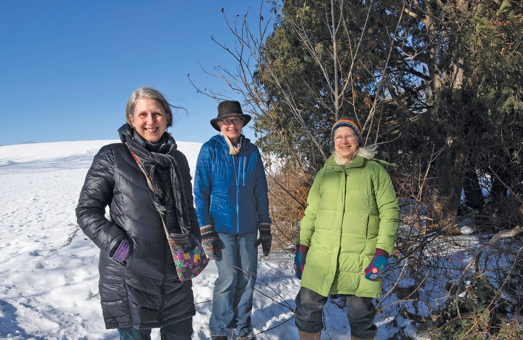 Planting a Pocket Forest