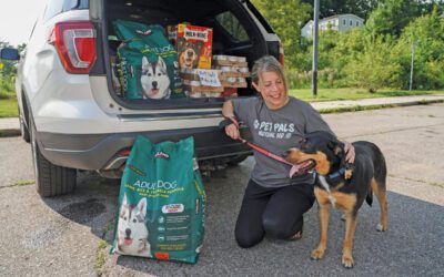 A woman and a dog next to a car full of dog food