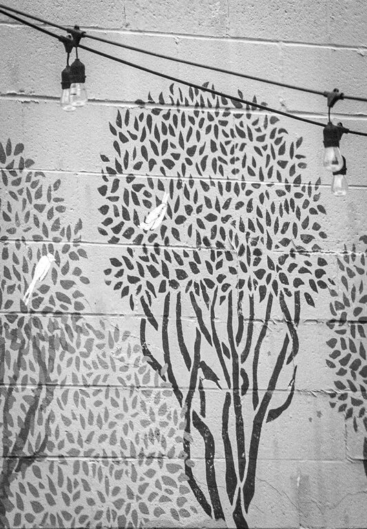 Tree Mural at 421 E. Liberty