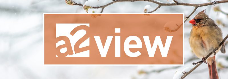 a2view December 19, 2024