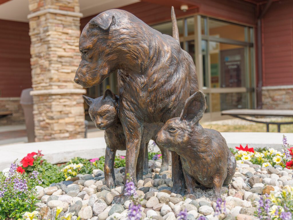 Humane Society of Huron Valley