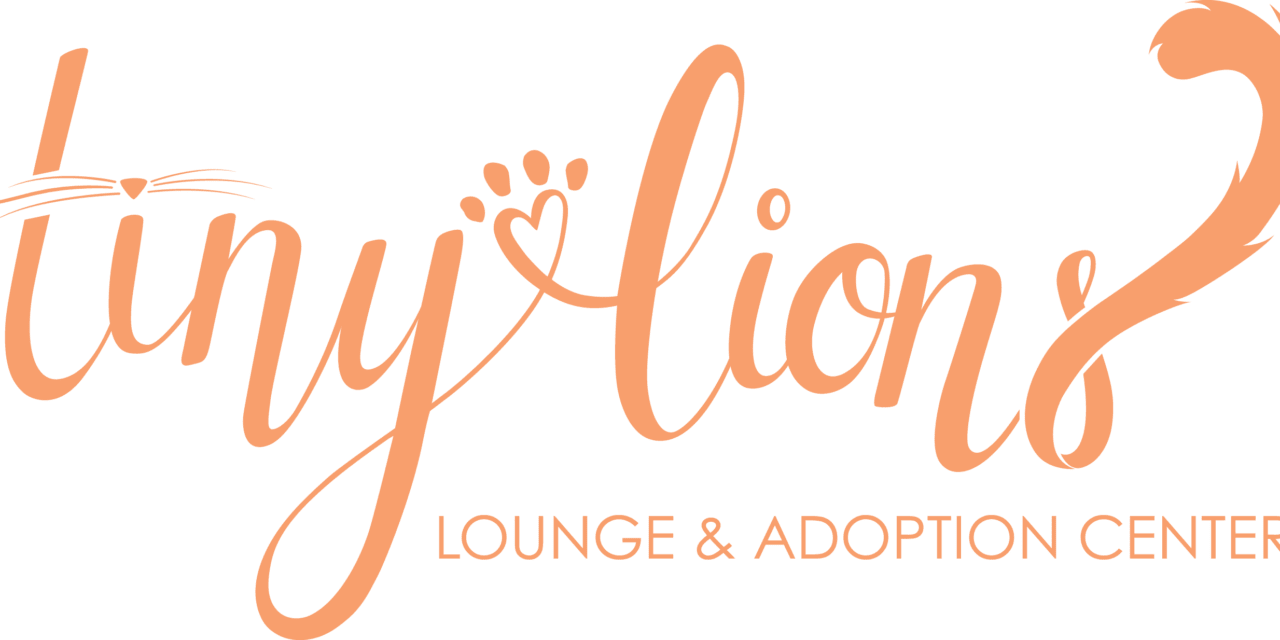 Tiny Lions Lounge & Adoption Center