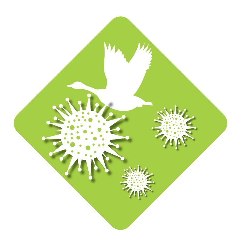Illustration of three scary-looking germ cells with the silhouette of a Canada Goose in flight in the background
