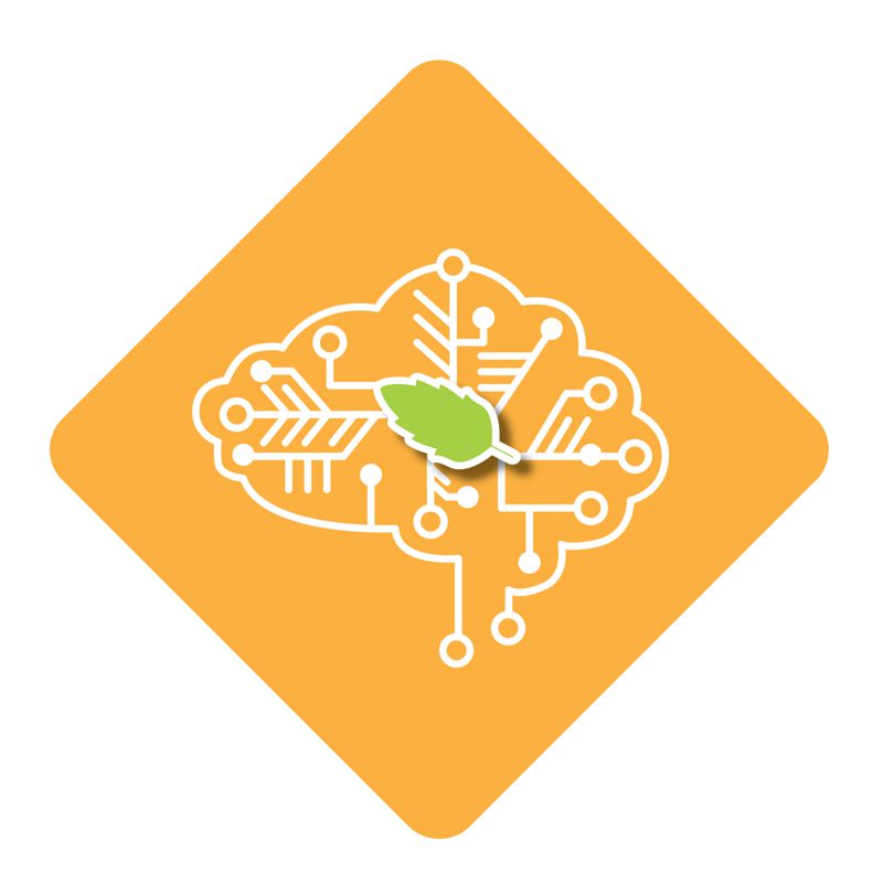 Illustration of a brain as a circuitboard against an orange background. At the center of the brain is a green leaf.