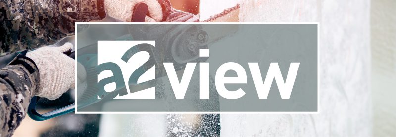 a2view February 20, 2025