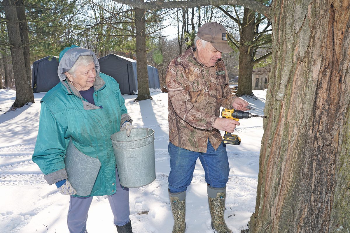 An older man and woman are tapping a maple tree in a snowy forest. The man is wearing a camouflage jacket and boots holding a drill and preparing to drill a hole int he trunk of the tree. The woman is wearing a puffy blue jacket and holding two metal sap buckets.