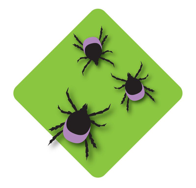 Lyme Disease Alert