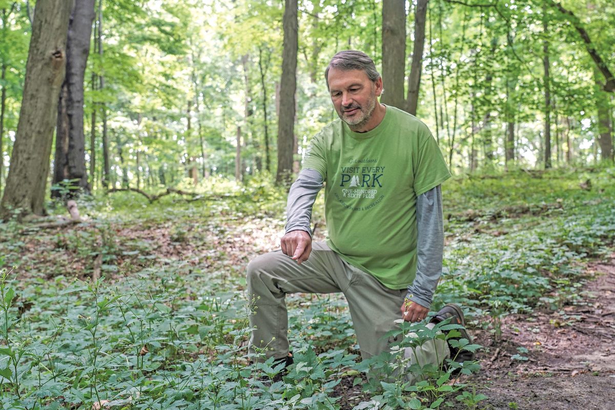 A man kneels in a park and gestures toward some leafy plants. 