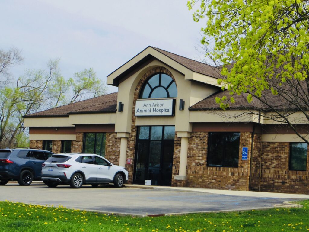 Ann Arbor Animal Hospital