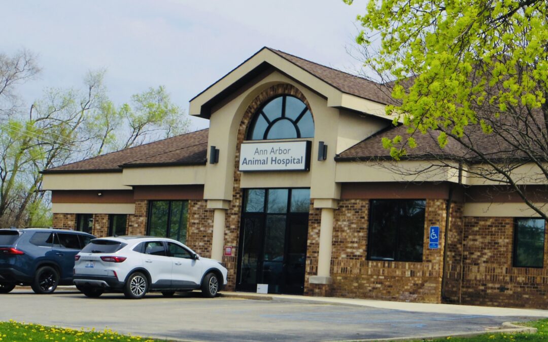 Ann Arbor Animal Hospital