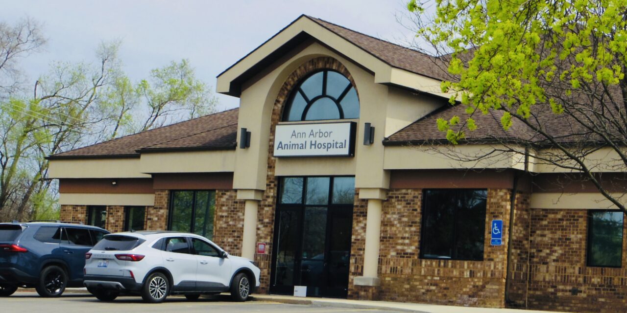 Ann Arbor Animal Hospital