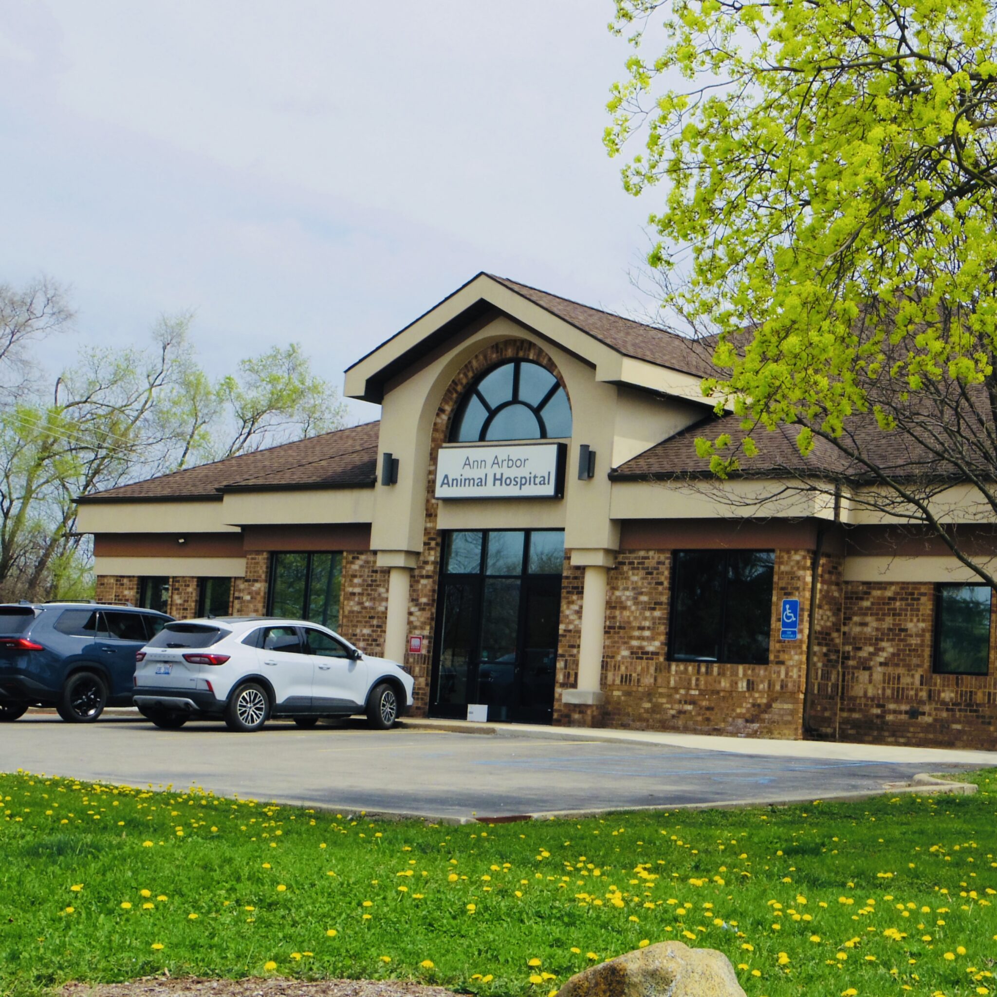 Pets & Wildlife - Ann Arbor Observer