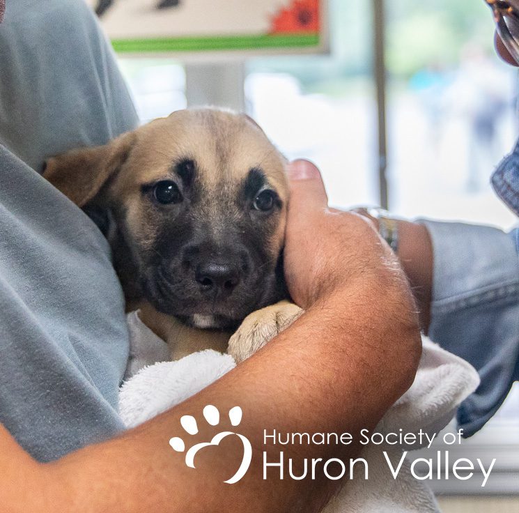 Humane Society of Huron Valley