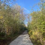 bike path through the woods on a fall day