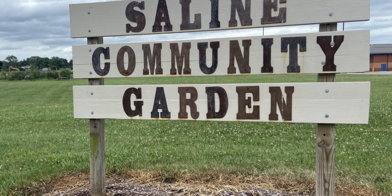 Saline Community Garden
