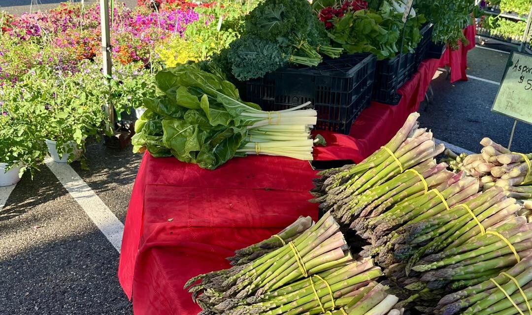 Saline Farmers Market