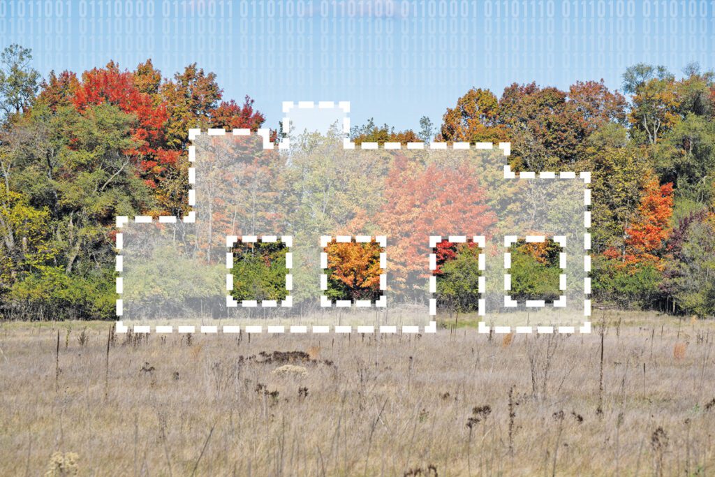 Land with data center superimposed on top.