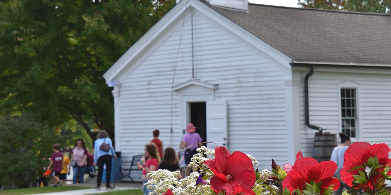 Webster Fall Festival