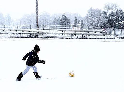The Shivering Elephant in the Room