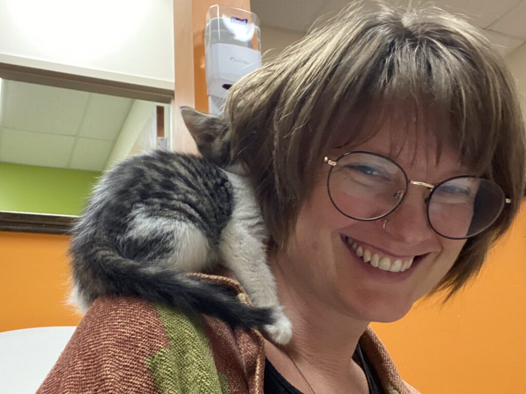 Ann Arbor: actually a small town?