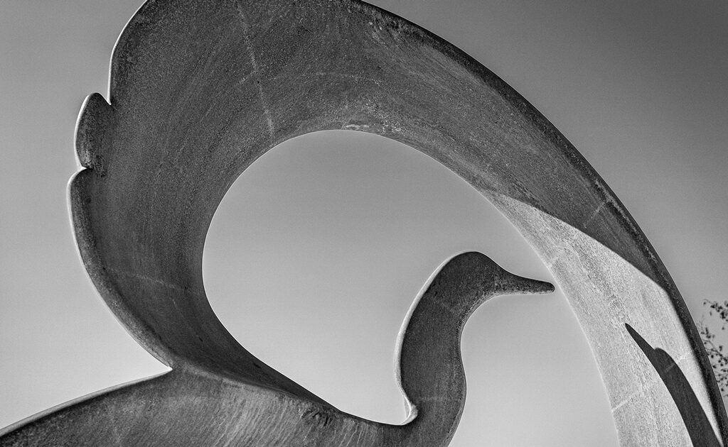 Guardians of the Huron River