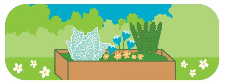 Illustration of a flower box with vegetables growing inside.