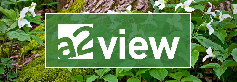 a2view May 8, 2026
