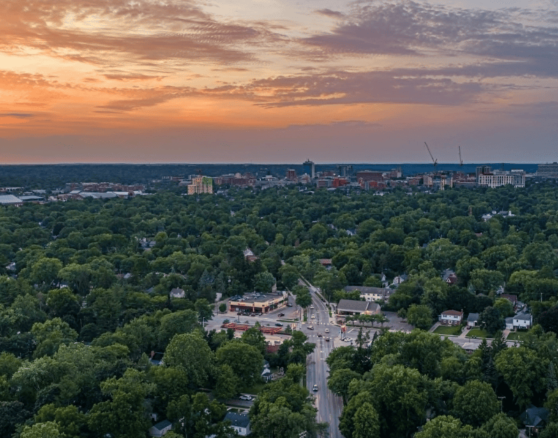 city surrounded by trees