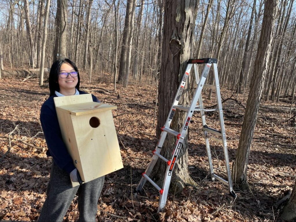 Protecting the Owls