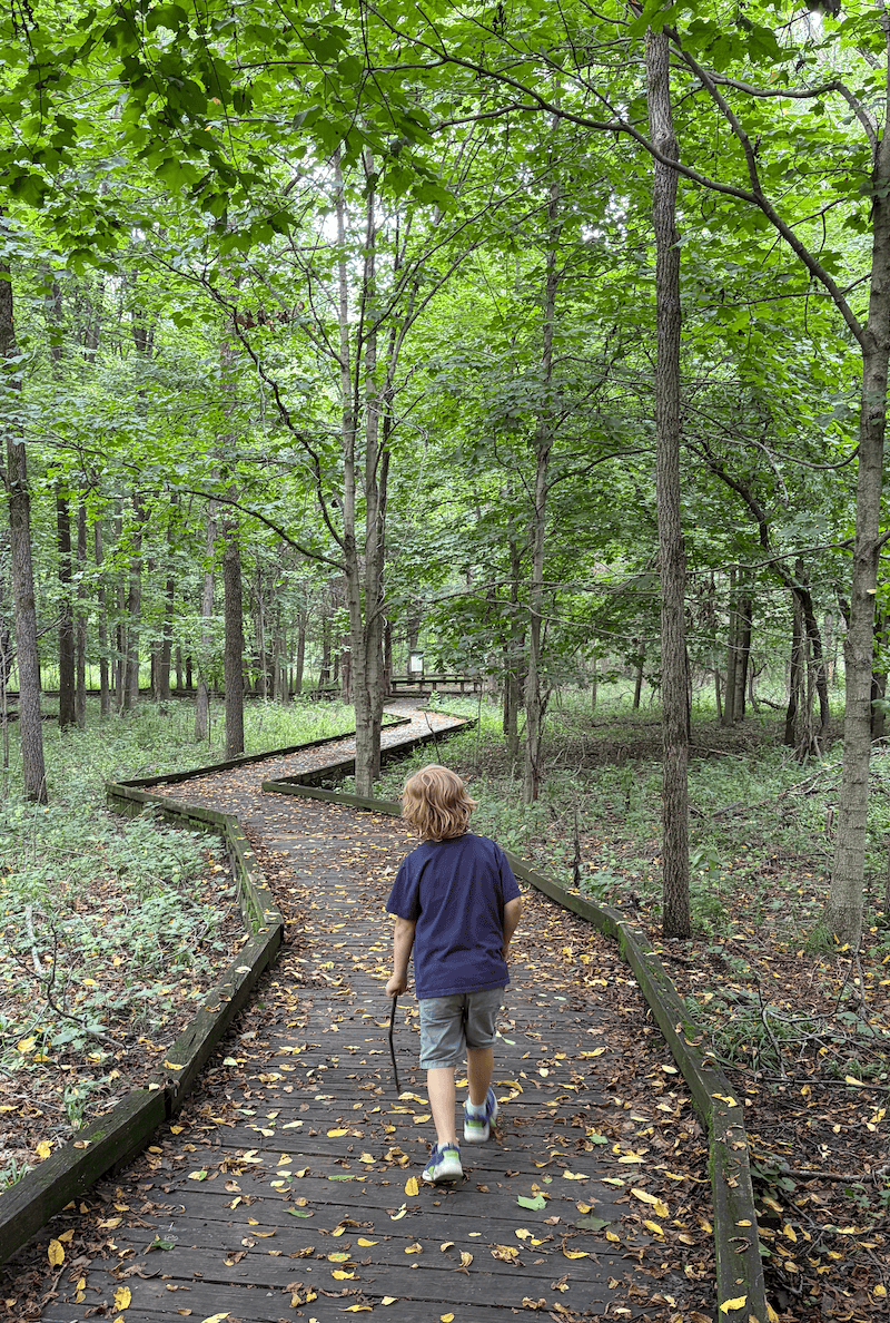 Boy hiking in the woods