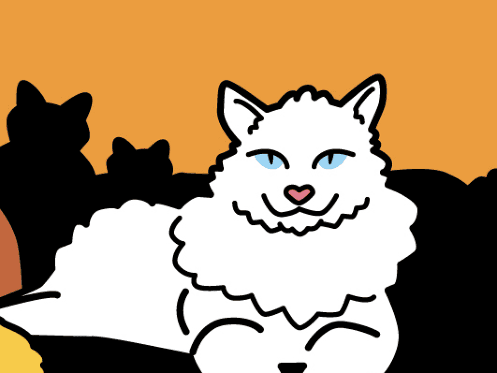 Of Cats and Crises