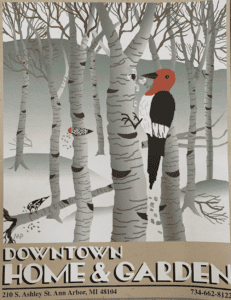 Newsletter with an illustration of a red-headed woodpecker on a birch tree in winter.